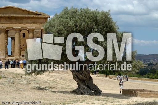 Sizilien (179 von 565).jpg